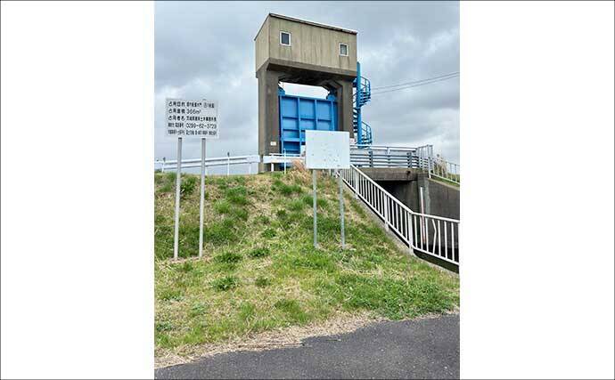 今週のヘラブナ推薦釣り場2026【茨城県・常陸利根川】