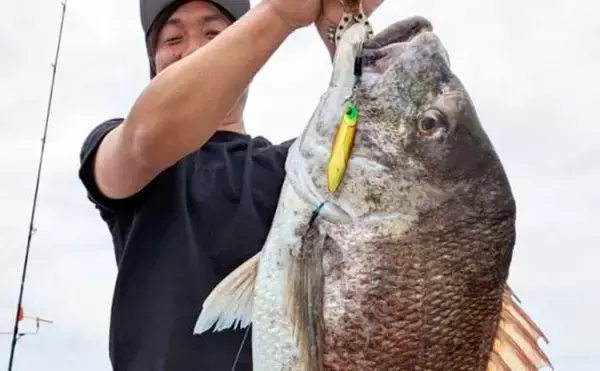 ウルトラ級の特大マダイ91cmが浮上！ジグにヒット【沖釣り釣果速報11選・北陸】
