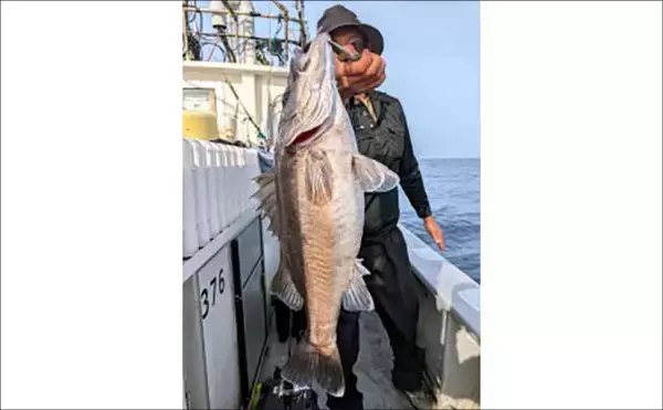 「ウルトラ級の特大マダイ91cmが浮上！ジグにヒット【沖釣り釣果速報11選・北陸】」の画像