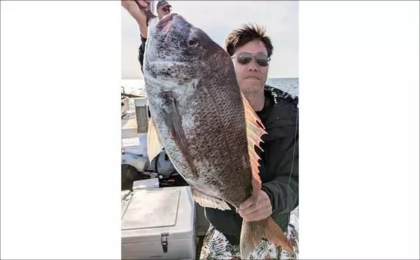 「ウルトラ級の特大マダイ91cmが浮上！ジグにヒット【沖釣り釣果速報11選・北陸】」の画像