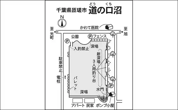 「今週のヘラブナ「ピックアップ」釣り場2026【千葉県・道の口沼】」の画像