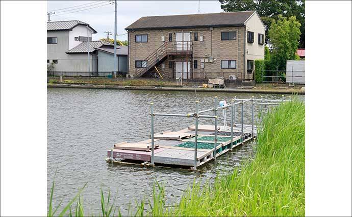 今週のヘラブナ「ピックアップ」釣り場2026【千葉県・道の口沼】