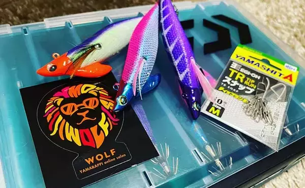 「ティップランエギング節約術　根掛かり回避でお財布にも自然にも優しく」の画像