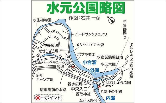 都心の公園で淡水小物釣りを堪能【都立水元公園】 タナゴにクチボソと対面