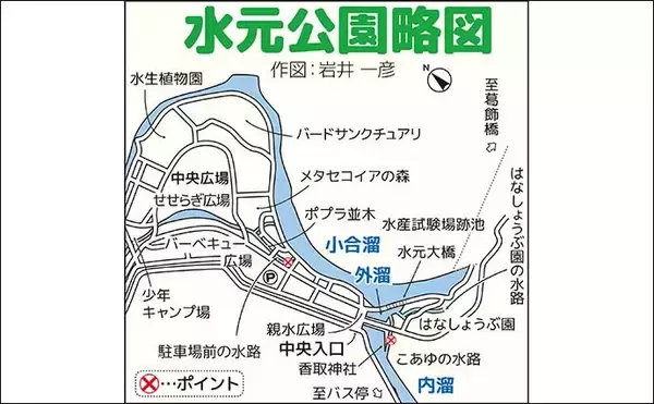 「都心の公園で淡水小物釣りを堪能【都立水元公園】 タナゴにクチボソと対面」の画像