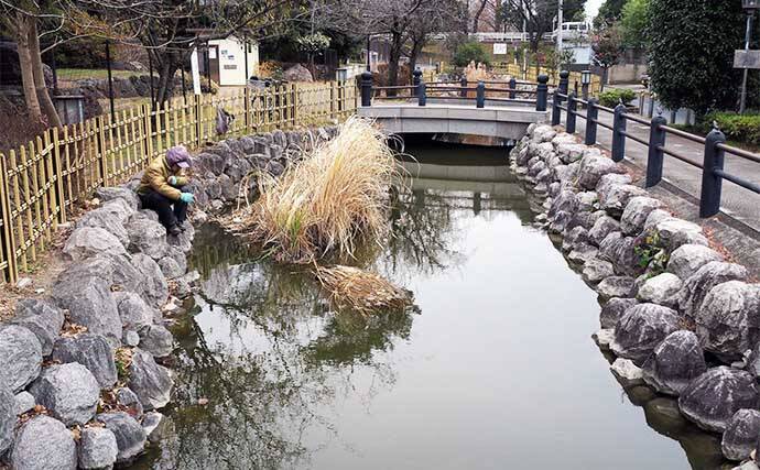 都心の公園で淡水小物釣りを堪能【都立水元公園】 タナゴにクチボソと対面