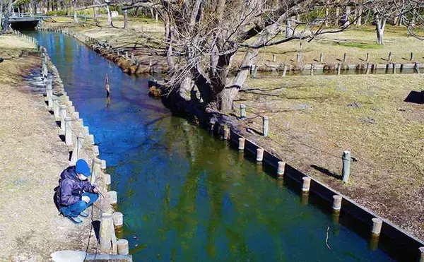 「都心の公園で淡水小物釣りを堪能【都立水元公園】 タナゴにクチボソと対面」の画像