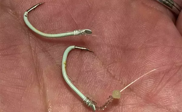 「船シマアジ釣りの超難題「口切れ」対策の秘訣　強めのドラグ設定が重要？」の画像