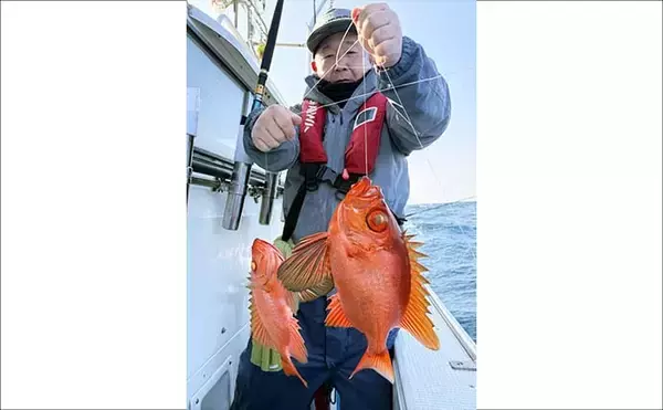 「赤い美味魚『チカメキントキ』が良型主体に連発！【船釣り釣果速報・福岡】」の画像