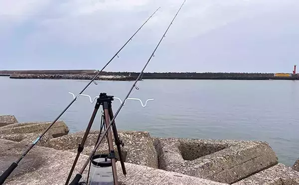 海釣り初心者にオススメは「サビキ＆ちょい投げ釣り」 必要な道具と購入時の注意点を解説