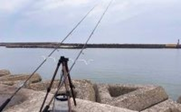 海釣り初心者にオススメは「サビキ＆ちょい投げ釣り」 必要な道具と購入時の注意点を解説