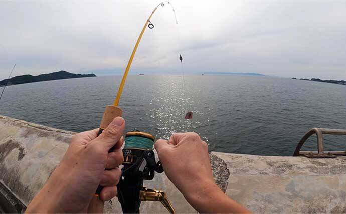 海釣り初心者にオススメは「サビキ＆ちょい投げ釣り」 必要な道具と購入時の注意点を解説