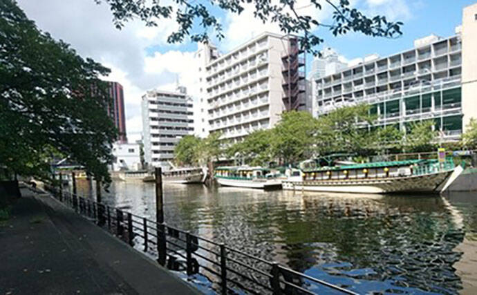 「東京都内でハゼ釣りを楽しもう！」 おすすめハゼ釣り場7選を徹底紹介【東京】