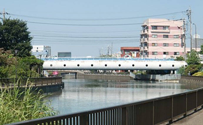 「東京都内でハゼ釣りを楽しもう！」 おすすめハゼ釣り場7選を徹底紹介【東京】