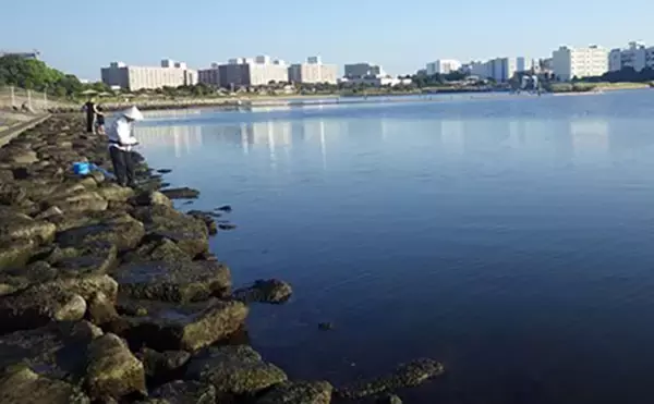 「「東京都内でハゼ釣りを楽しもう！」 おすすめハゼ釣り場7選を徹底紹介【東京】」の画像