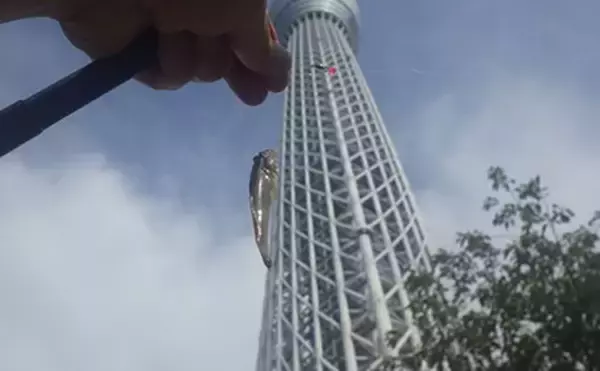 「「東京都内でハゼ釣りを楽しもう！」 おすすめハゼ釣り場7選を徹底紹介【東京】」の画像