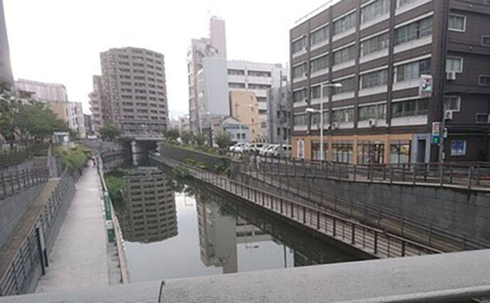 「東京都内でハゼ釣りを楽しもう！」 おすすめハゼ釣り場7選を徹底紹介【東京】