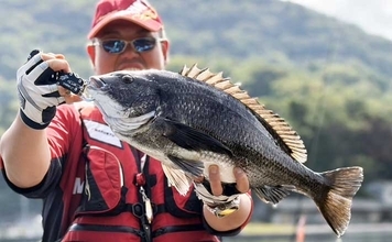 イカダでのフカセ釣りで58.5cm超大型クロダイが登場！【沼津】自己記録を更新