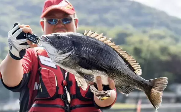 イカダでのフカセ釣りで58.5cm超大型クロダイが登場！【沼津】自己記録を更新