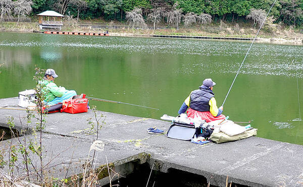 今週の推薦ヘラブナ釣り場 静岡県 野守の池 年3月17日 エキサイトニュース