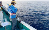 「見老津沖『春の風物詩』ジャンボイサギ釣り　正確なタナがキモ【黒龍丸】」の画像4
