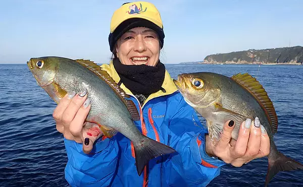 「見老津沖『春の風物詩』ジャンボイサギ釣り　正確なタナがキモ【黒龍丸】」の画像