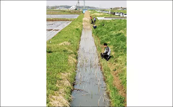 「【関東2020】乗っ込みブナ好釣り場：手賀川周辺ホソ」の画像