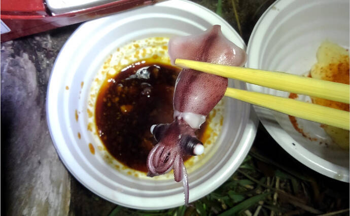 大人気『富山湾ホタルイカ掬い』の楽しみ方と注意点　2020年は豊漁予想？