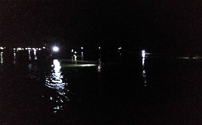 大人気『富山湾ホタルイカ掬い』の楽しみ方と注意点　2020年は豊漁予想？