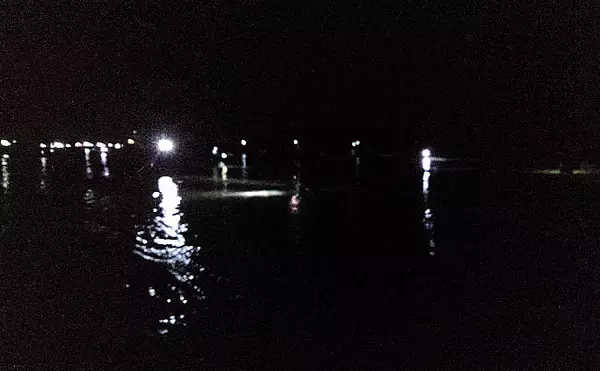 「大人気『富山湾ホタルイカ掬い』の楽しみ方と注意点　2020年は豊漁予想？」の画像