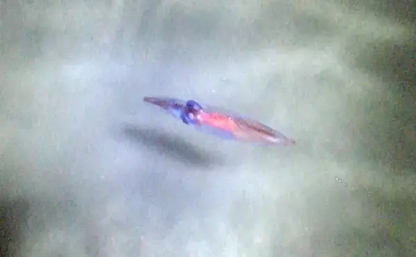 「大人気『富山湾ホタルイカ掬い』の楽しみ方と注意点　2020年は豊漁予想？」の画像