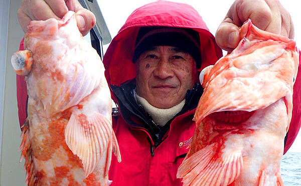 大分 熊本 沖釣り最新釣果 沖アラカブ好調にメバル40尾の数釣り 年3月25日 エキサイトニュース