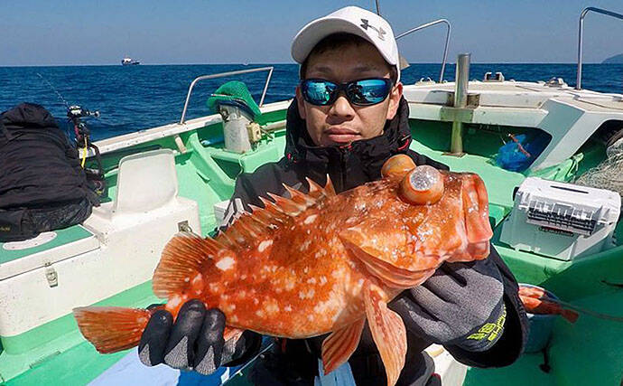大分 熊本 沖釣り最新釣果 沖アラカブ好調にメバル40尾の数釣り 年3月25日 エキサイトニュース