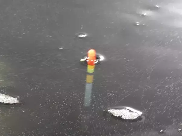 「室内釣り堀で40cm頭ニシキゴイ26尾　子供喜ぶ仕掛けも【つり大陸】」の画像