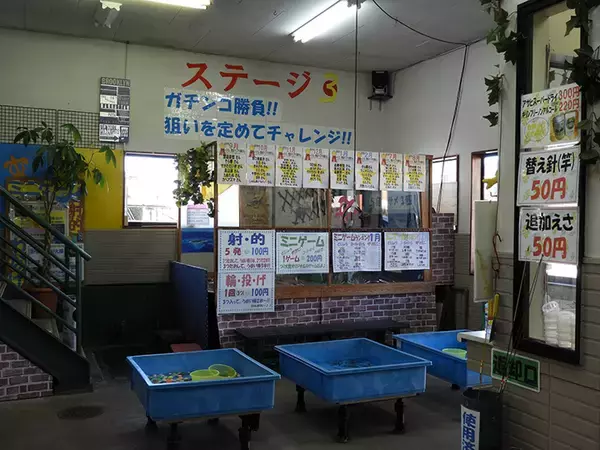 「室内釣り堀で40cm頭ニシキゴイ26尾　子供喜ぶ仕掛けも【つり大陸】」の画像