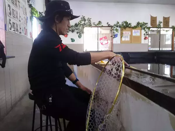 「室内釣り堀で40cm頭ニシキゴイ26尾　子供喜ぶ仕掛けも【つり大陸】」の画像