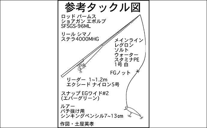 東海春 バチ抜けシーバスゲーム攻略法 釣行タイミングが重要 年3月28日 エキサイトニュース