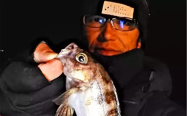 メバリングのつもりが一転『新子タチウオゲーム』に【福岡・箱崎埠頭】