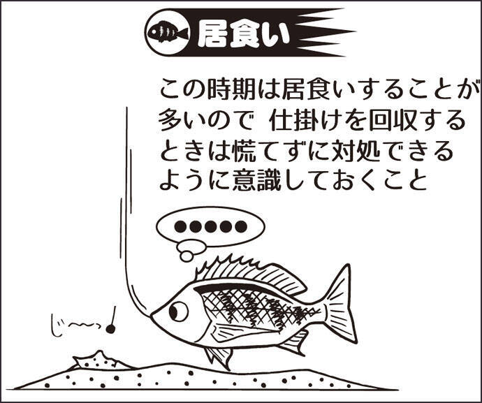 東海春 カカリ釣り乗っ込みクロダイ攻略 間 を意識しよう 年4月5日 エキサイトニュース