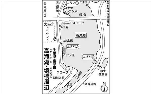 「今週のヘラブナ推薦釣り場【千葉県・高滝湖】」の画像
