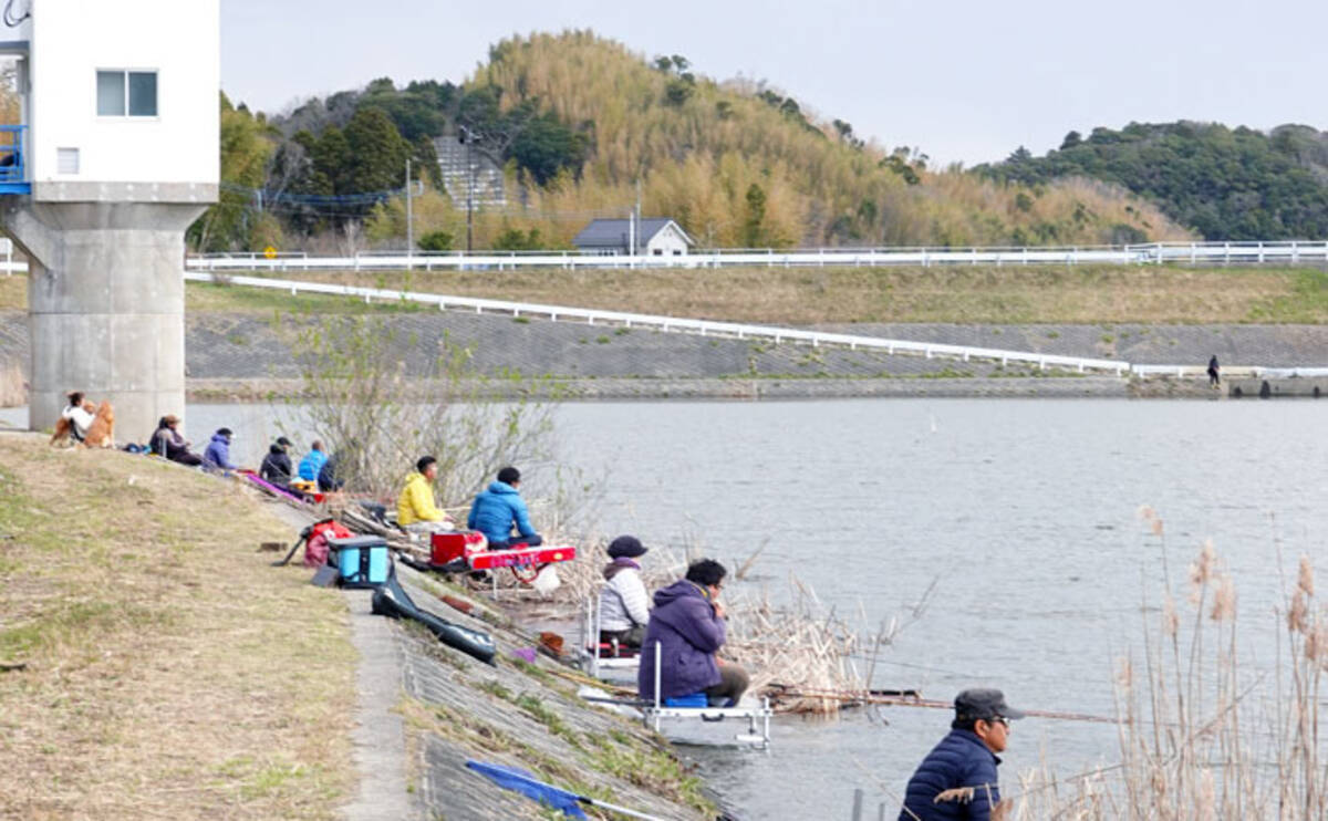 今週のヘラブナ推薦釣り場 千葉県 高滝湖 年4月7日 エキサイトニュース