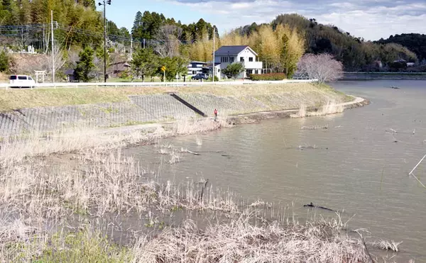 「今週のヘラブナ推薦釣り場【千葉県・高滝湖】」の画像