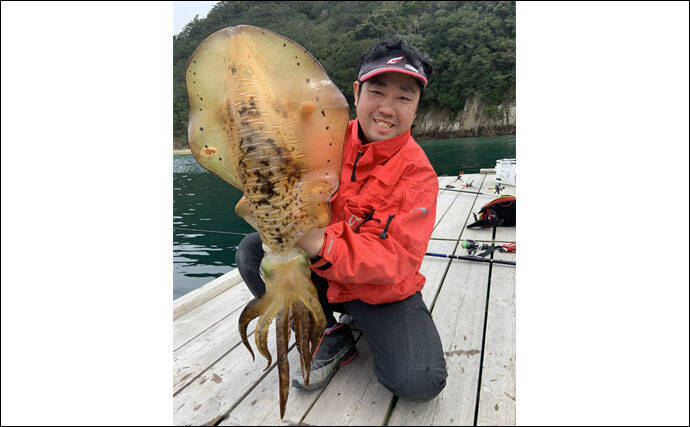 イカダからの ヤエン 釣りで2 45kg大型アオリイカ手中 三重 年4月11日 エキサイトニュース
