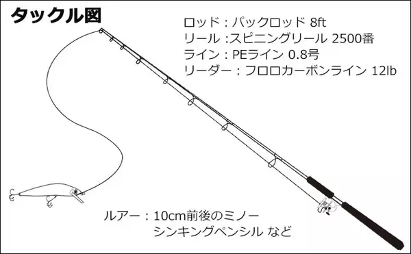 「『バチ抜け』発生で68cmシーバス2尾　リトリーブ速度がキモ【多摩川】」の画像