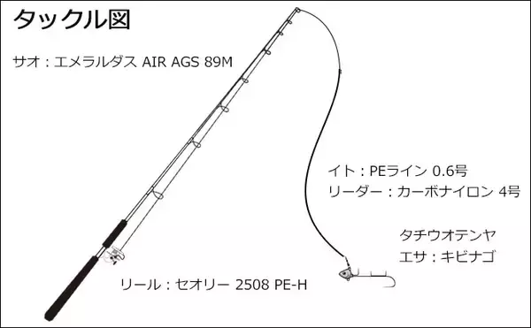 「陸っぱりテンヤタチウオ釣行　想定外釣果は50cm級ヒラメ【陸軍桟橋】」の画像