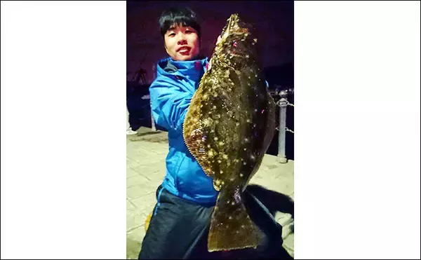 「陸っぱりテンヤタチウオ釣行　想定外釣果は50cm級ヒラメ【陸軍桟橋】」の画像