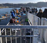 「波止のサビキ釣りで良型マイワシ入れ食いで600匹【愛知・豊浜漁港】」の画像2