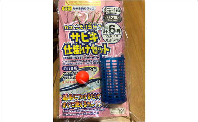 波止のサビキ釣りで良型マイワシ入れ食いで600匹【愛知・豊浜漁港】