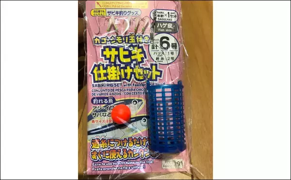 「波止のサビキ釣りで良型マイワシ入れ食いで600匹【愛知・豊浜漁港】」の画像