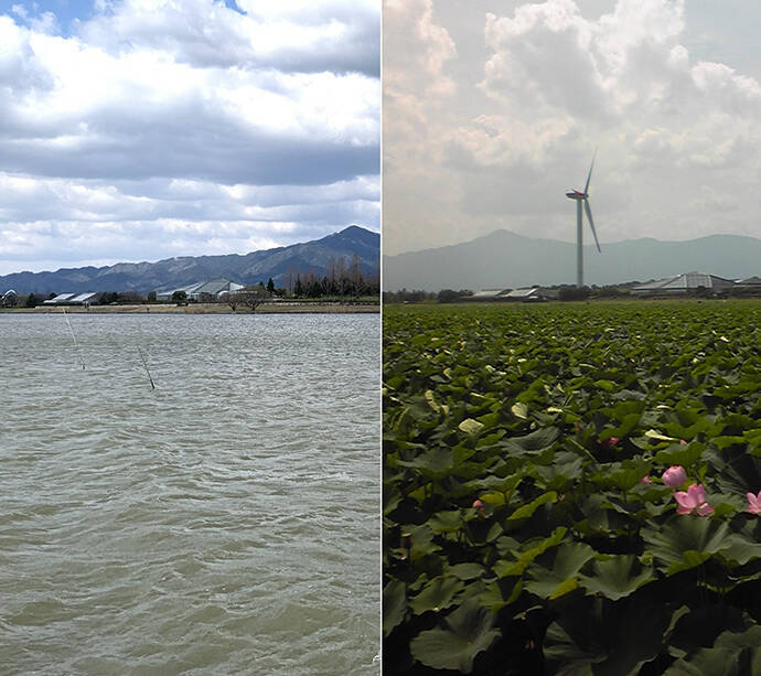 琵琶湖の釣り場「今昔物語」：湖南・東岸編　風車やハス群生地は消滅